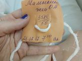 Родила?