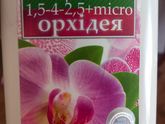 отросток фаленопсиса