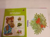 Цвета, овощи/фрукты, буквы, цифры и пр