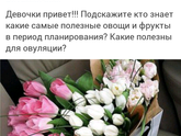 Дублирую вопрос