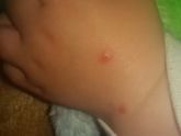 Девочки подскажите пожалуйста, не