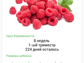 8 недель