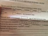 Кто разбирается в заключениях УЗИ?