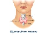 Беременность и щитовидная железа