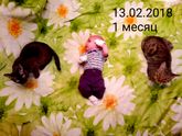 Первый праздник