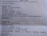 УЗИ почек