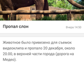 Пропал слон. Объявление в olx.kz 😂😂😂