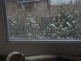 Первый снег