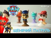 Обмен щенками