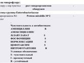 Бактерии в моче