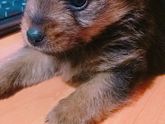 Завтра с мужем годовщина и вот сегодня подарок подарил!)))Но как помочь этому подарку?)