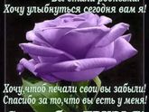 Нам 3 месяца!