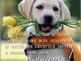 Поздравляю
