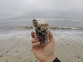🌊 Океан