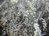 Была на плановом приёме