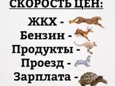 Такая жизнь)