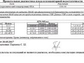 5 недель