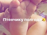 Полгода