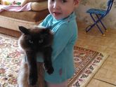 немного нас)