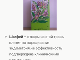Эндометрий