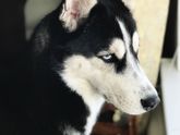 Красавица моя)Сегодня так интересно