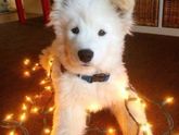 Всех католиков с Рождеством😍🎄