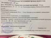 Овуляция по узи