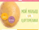 18 неделек ??