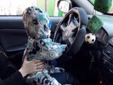 Едем ?