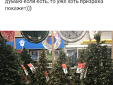 Завтра 10-11 дпо!