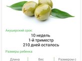 вот и 10 неделек. время, ты куда???😂