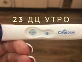 23 Дц