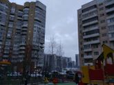 Где гулять с малышом? Всё позастроили