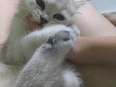 Замучали мальчика💓💓💓