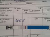 ХГЧ