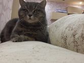 Корм.