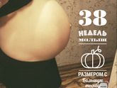 Вот и ровно 38 недель