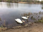 Прогулки на свежем воздухе
