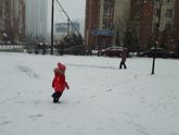 Зима не хочет покидать Петербург