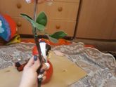 Просто так