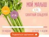 38 неделя