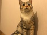 Котя моя ❗️