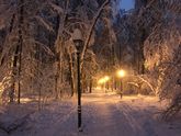 Филевский парк, зимняя сказка)
