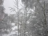 А какая у Вас