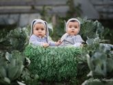 Капустки))