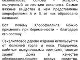 Фарингит и злорофилипт.можно ли?