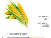 Моя кукурузка