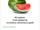 День ПДР!🙏🙏🙏