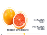 Нам 20 недель ?
