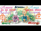 Метрика Своими руками